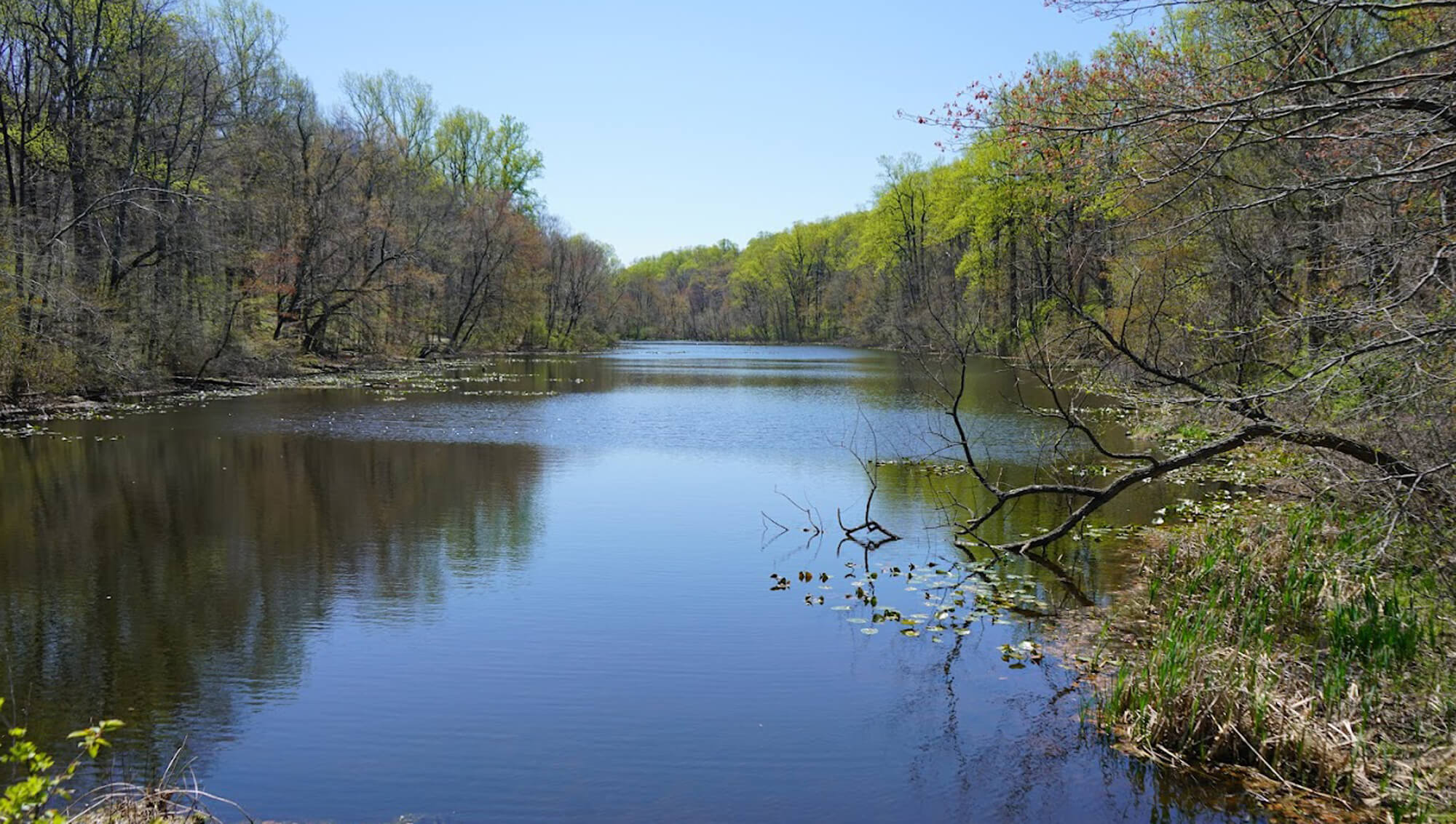 Hikes at Watchung Reservation. Scenic view of a lake surrounded by trees.