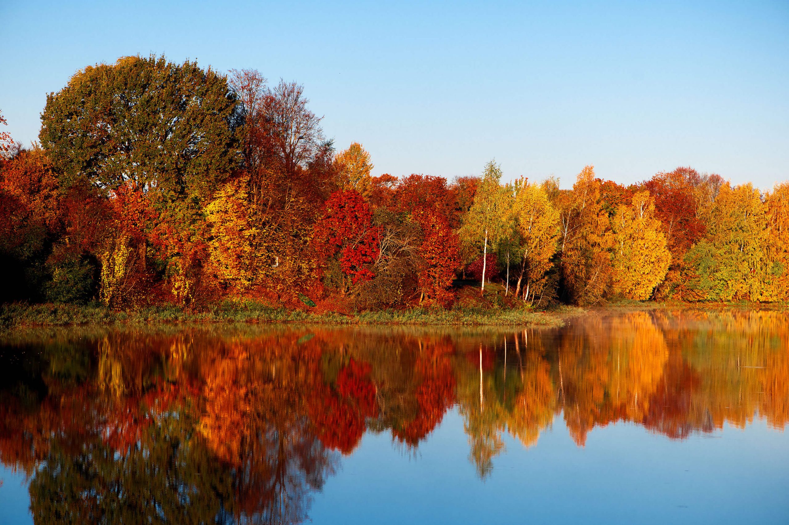 Fall Photography